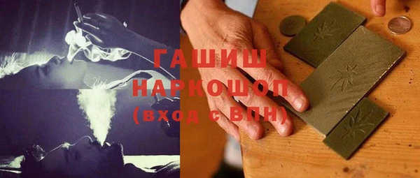 стафф Новозыбков