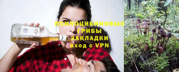 МДПВ Арсеньев